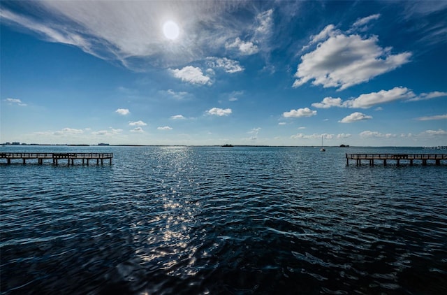 dock area with a water view