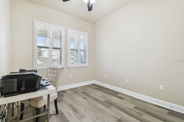 home office featuring ceiling fan and light hardwood / wood-style flooring