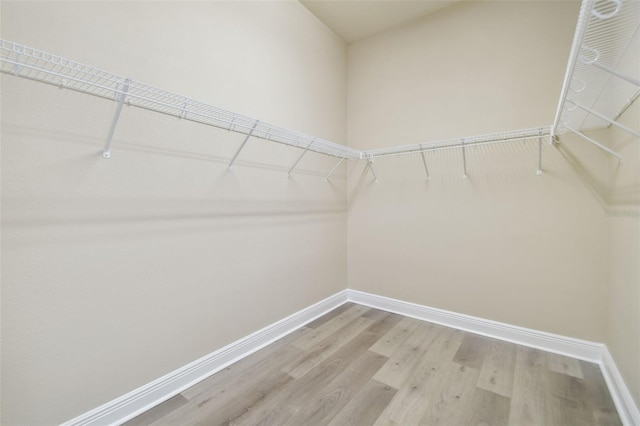 walk in closet with wood finished floors