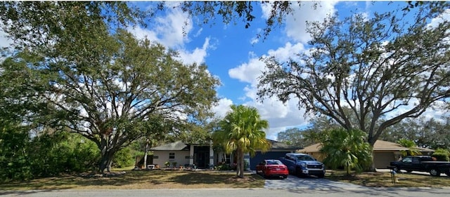 view of front facade featuring driveway