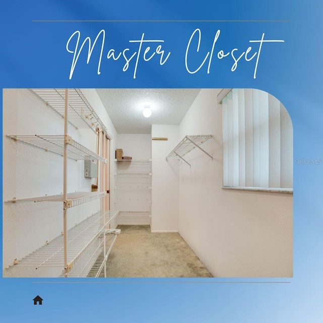 4553 31st Ct E, Bradenton, FL 34203 - walk in closet featuring carpet floors