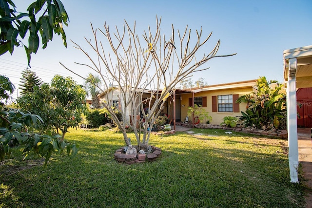 view of front facade with a front lawn