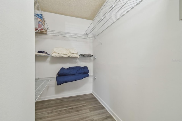 spacious closet featuring hardwood / wood-style floors