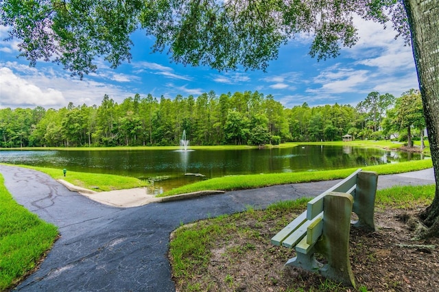 view of home's community with a water view