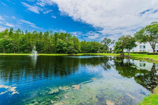 water view