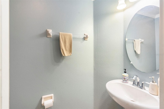 bathroom with sink and ornamental molding