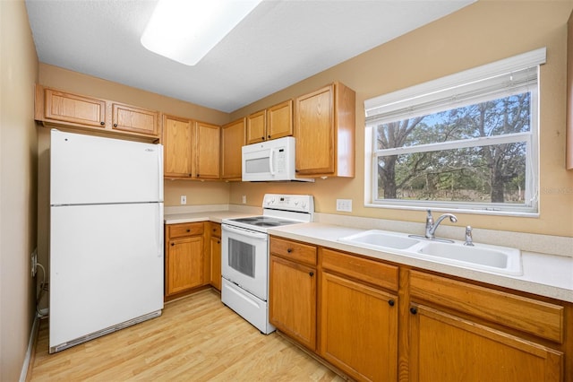 kitchen featuring sink, light hardwood / wood-style flooring, and white appliances