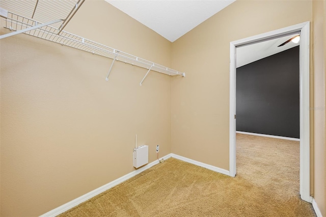 laundry room featuring carpet flooring