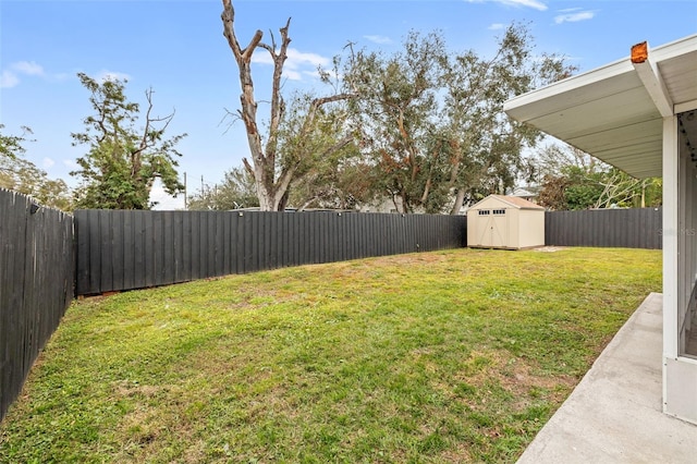 view of yard featuring a shed