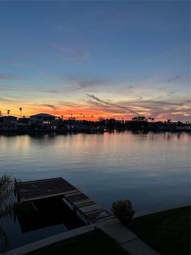 dock area with a water view