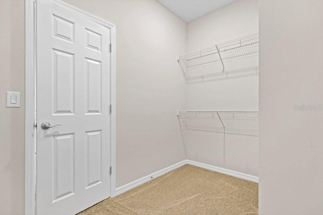 walk in closet featuring carpet floors