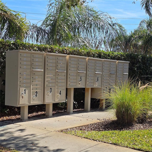 view of community with a mail area