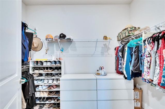 view of spacious closet