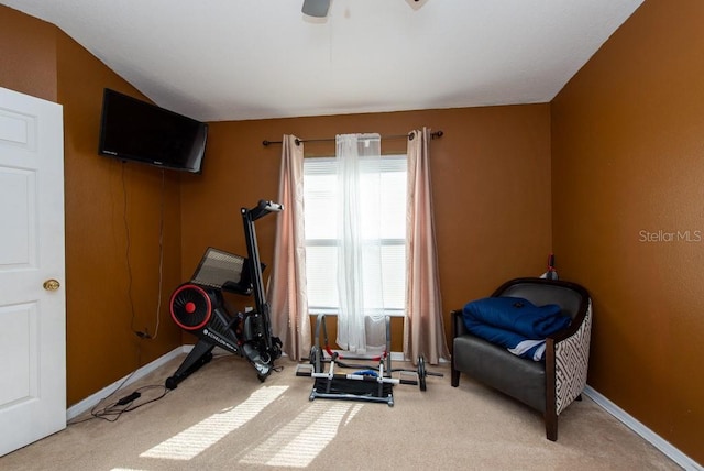 exercise room with light colored carpet