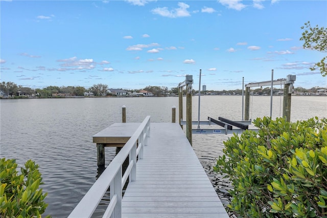 337 Coffee Pot Dr NE, Saint Petersburg, FL 33704 - photo 85