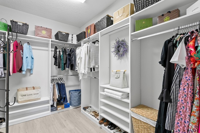 walk in closet with wood-type flooring