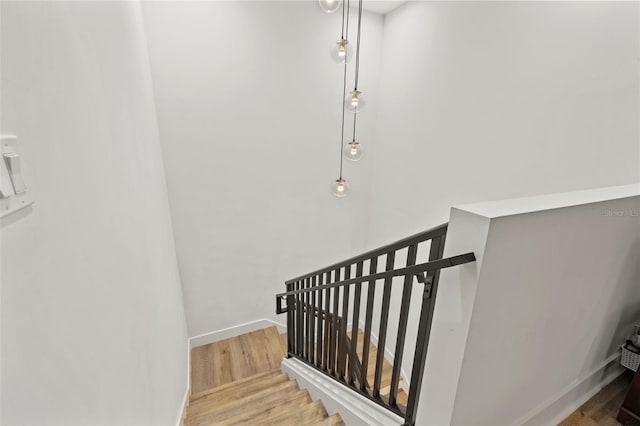 stairs with hardwood / wood-style floors