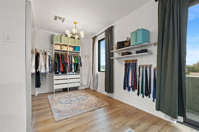 spacious closet featuring an inviting chandelier and hardwood / wood-style flooring