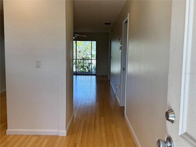 hall featuring light hardwood / wood-style floors