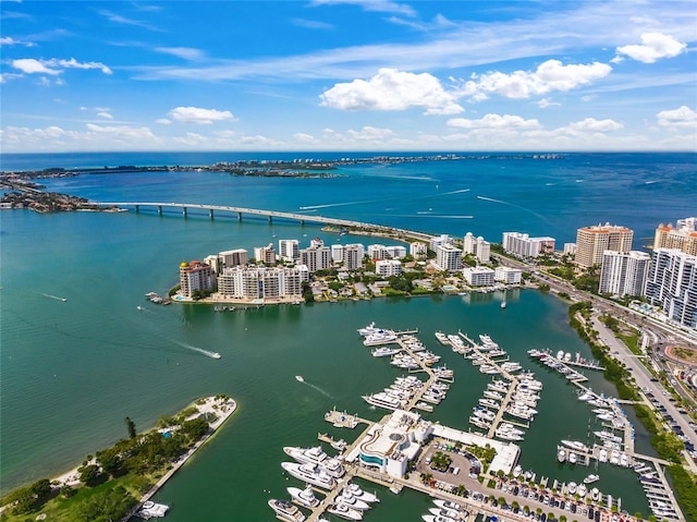 aerial view with a water view