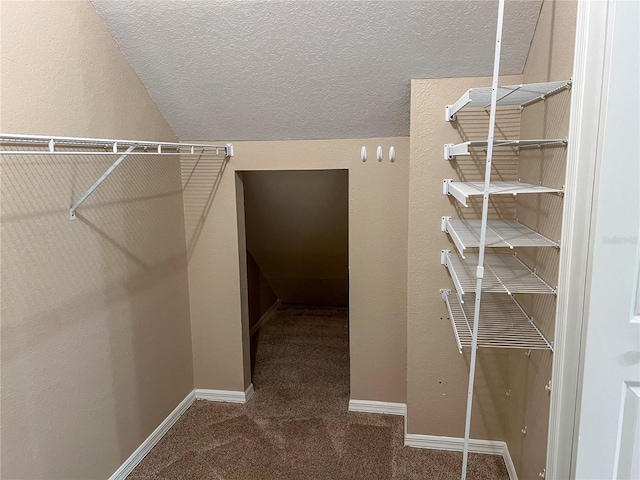 walk in closet featuring carpet and vaulted ceiling