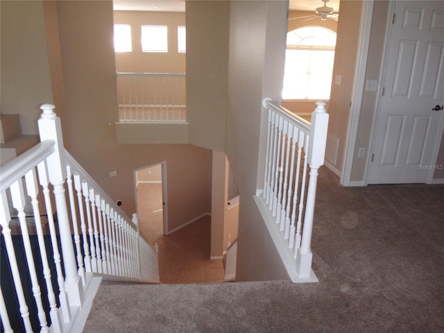 staircase with plenty of natural light and carpet