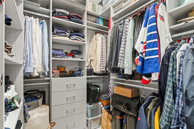 view of spacious closet