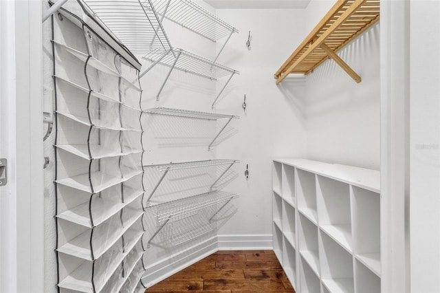 walk in closet with dark wood-type flooring