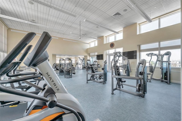 workout area with a towering ceiling