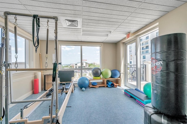 workout area with carpet flooring