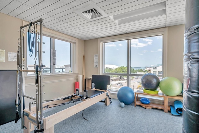 exercise area with a wealth of natural light