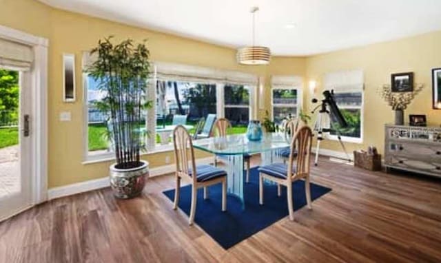 dining room with dark wood-type flooring