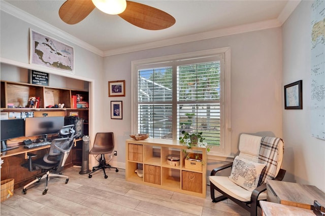 home office featuring ceiling fan, ornamental molding, and light hardwood / wood-style floors