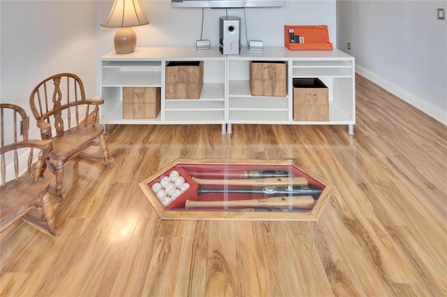 interior space featuring hardwood / wood-style flooring