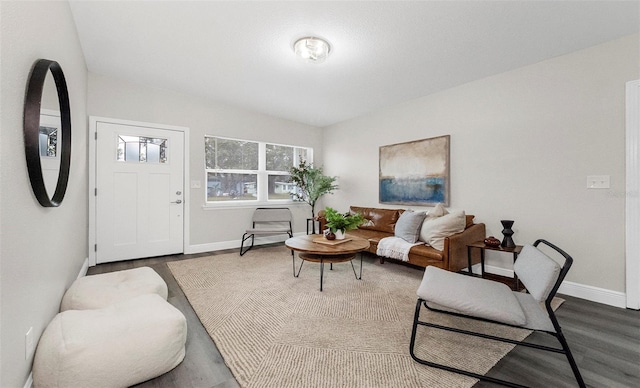 living room with hardwood / wood-style flooring