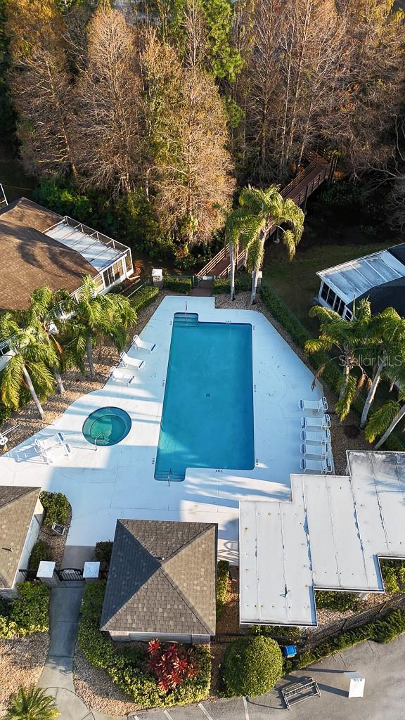 view of pool with a diving board