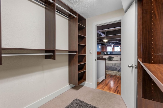 spacious closet featuring carpet