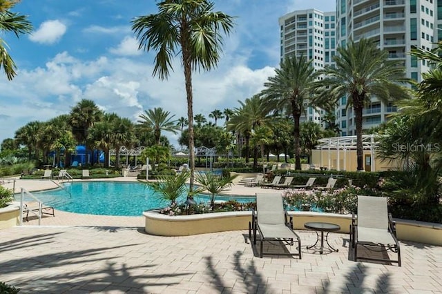 view of swimming pool with a patio area