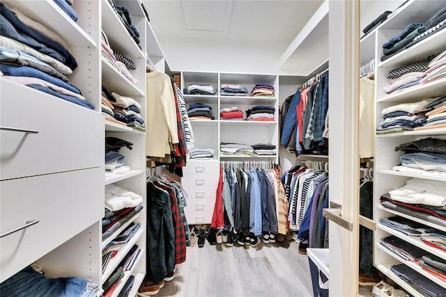 spacious closet featuring light hardwood / wood-style floors