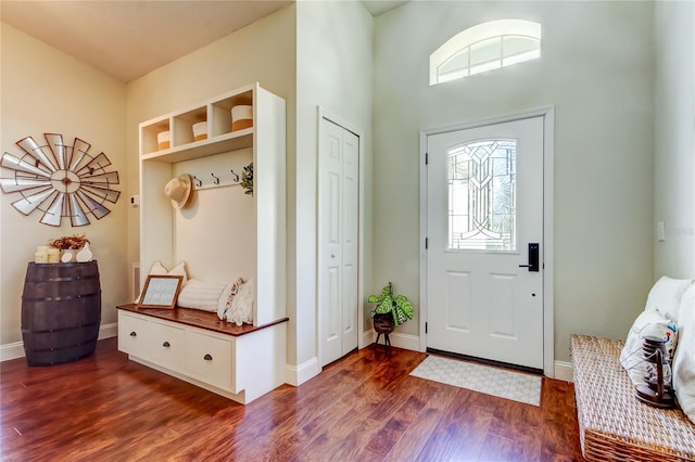 entrance foyer featuring dark wood-type flooring