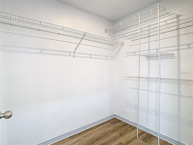 spacious closet featuring hardwood / wood-style floors