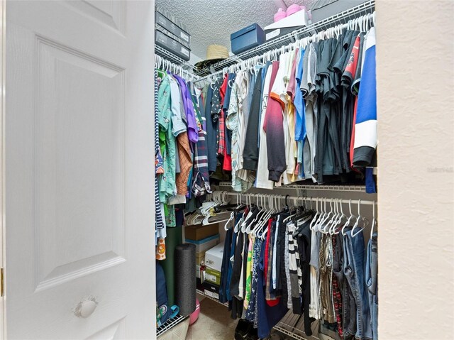 view of walk in closet