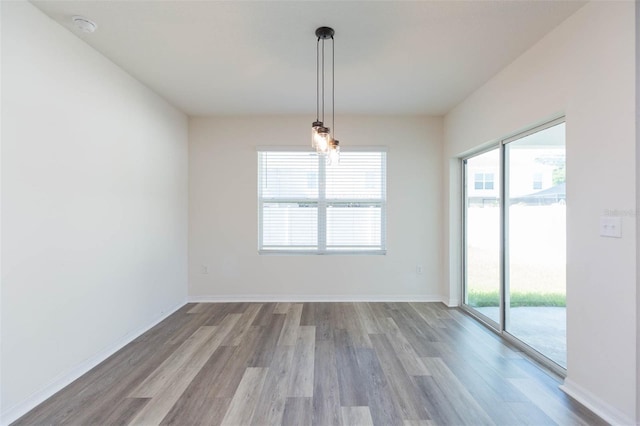 empty room featuring light wood-type flooring and a wealth of natural light