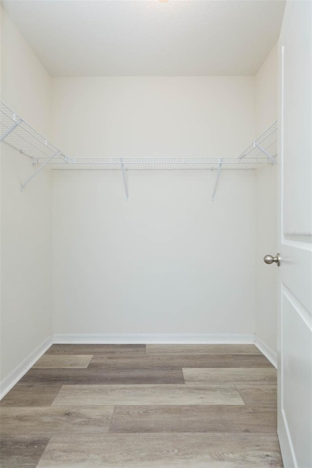 spacious closet featuring light hardwood / wood-style floors