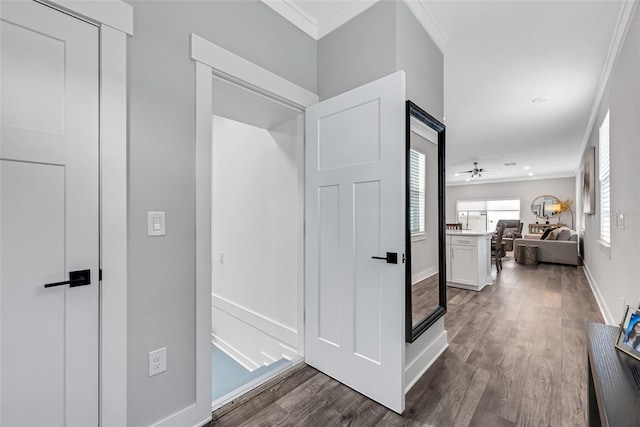 hallway with dark hardwood / wood-style flooring and crown molding