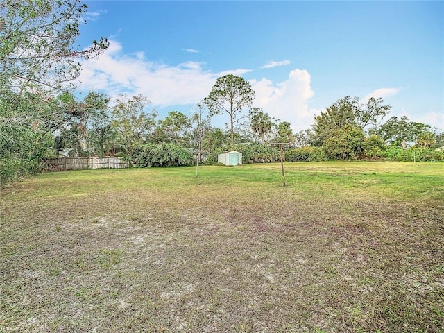 view of yard with a storage shed