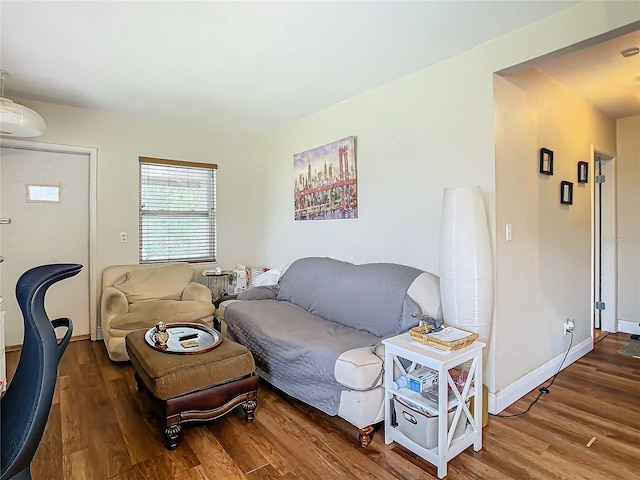 living room featuring hardwood / wood-style flooring