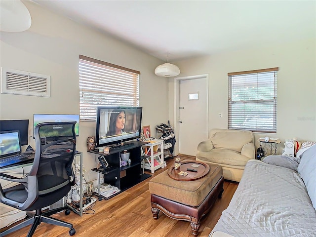 living room with wood-type flooring and plenty of natural light