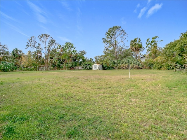 view of yard with a shed