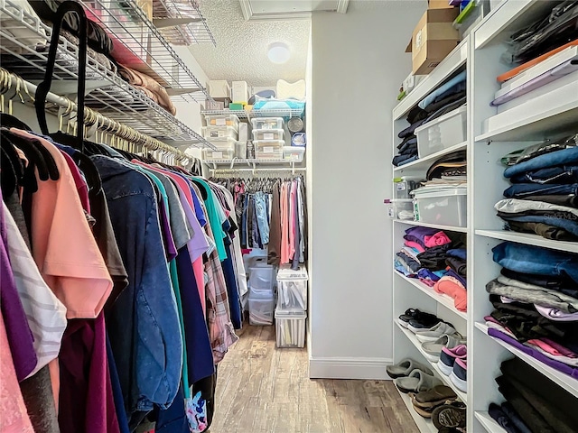 spacious closet with wood-type flooring